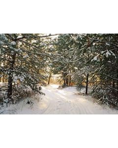 Leowefowa Rural Snow Woods Backdrop 10x8ft Vinyl Winter Photography Backgroud Snow-Covered Pine Trees Path Way Christmas New Year Wonderland Themed Children Adult Photo Props