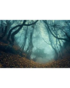 Leowefowa Misty Forest Halloween Theme Backdorp 10x8ft Vinyl Photography Backgroud Autumn Landscape Fairy Wonderland Outdoor Cold Morning Halloween Holiday Child Adult Photo Shoot