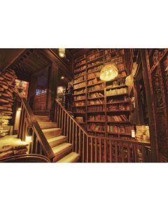 Leowefowa Old Library Interior Staircase Backdrop 9x6ft Yellow Droplight Retro Bookshelves Filled with Books Background for Photography Children Adult Photo Shoot Studio Photo Props