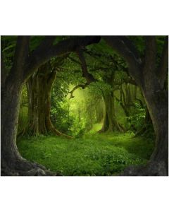 Leowefowa 10X8FT Vinyl Backdrop Photography Background Dreamy Fairy Tale Forest Old Tree Grass Field Scene Children Baby Kids Adults Portraits Backdrop 3.0(W) X2.5(H) M Photo Studio Props