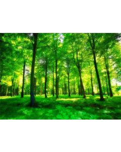Leowefowa 7x5ft Spring Vibrant Jungle Forest Backdrop for Photography Sunshine Green Grassland Vinyl Background Kids Lover Shoot Picnic Outdoor BBQ VBS Party Decor Photo Studio Props Scenic Wallpaper