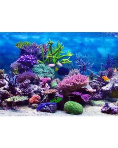 Leowefowa 7X5FT Underwater World Backdrop Aquarium Coral Fish Blue Sea Romantic Wallpaper Wedding Travel Vinyl Photography Background Kids Children Adults Photo Studio Props